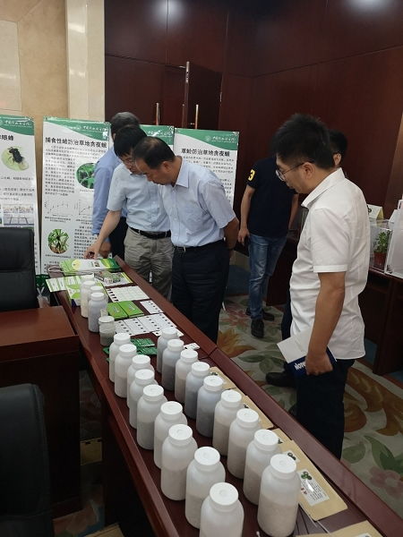 天敵昆蟲防控技術研發項目通過中期檢查，網絡技術賦能綠色農業發展